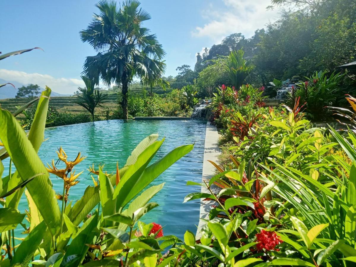 Puluong Home Pu Luong المظهر الخارجي الصورة