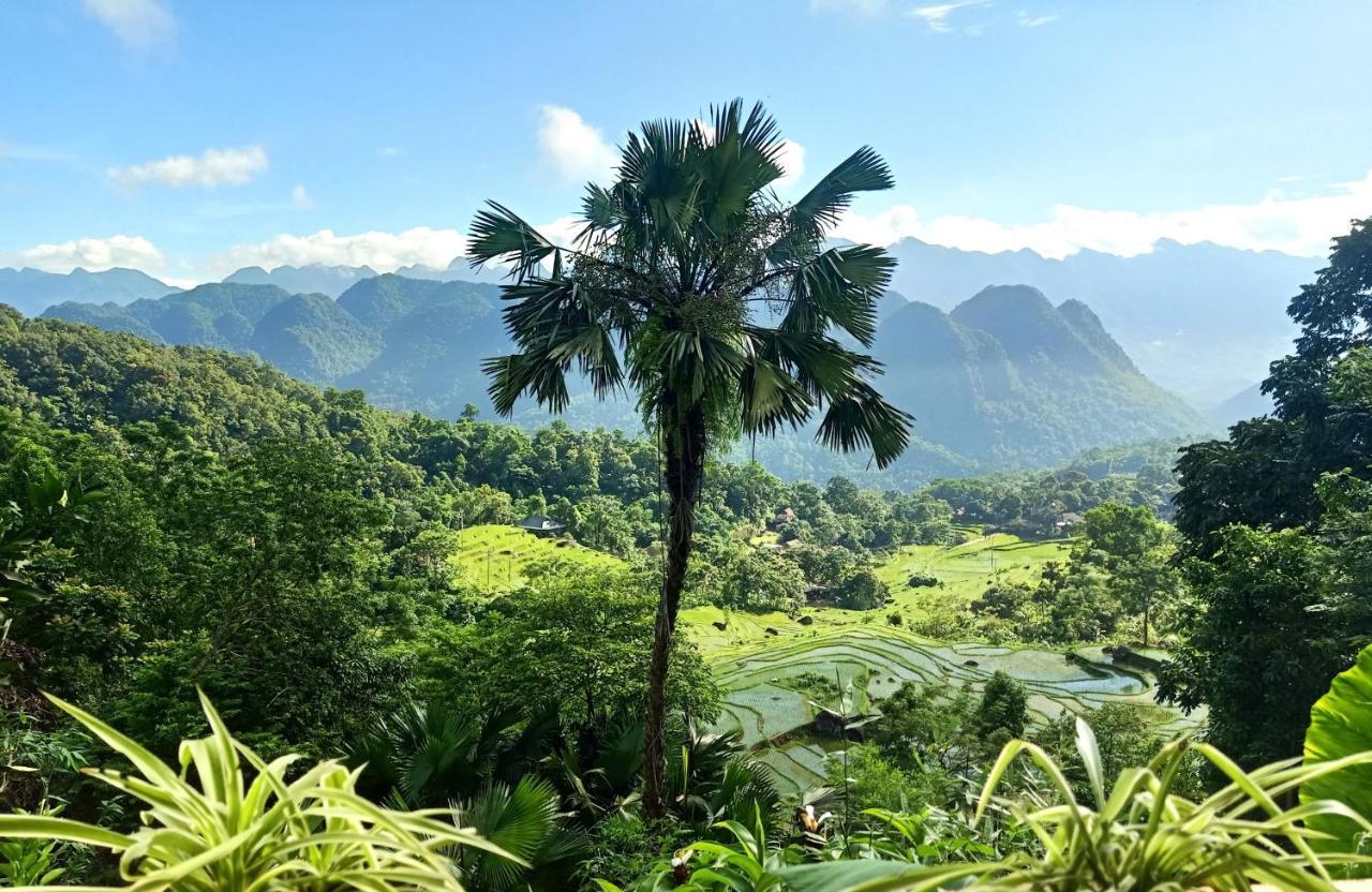 Puluong Home Pu Luong المظهر الخارجي الصورة